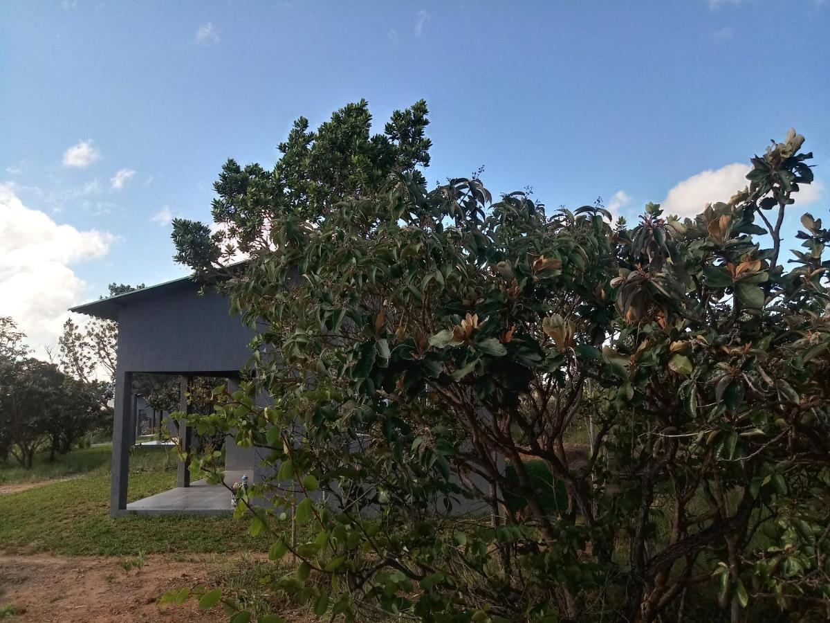 Chales Recanto Da Baleia Alto Paraíso de Goiás Extérieur photo